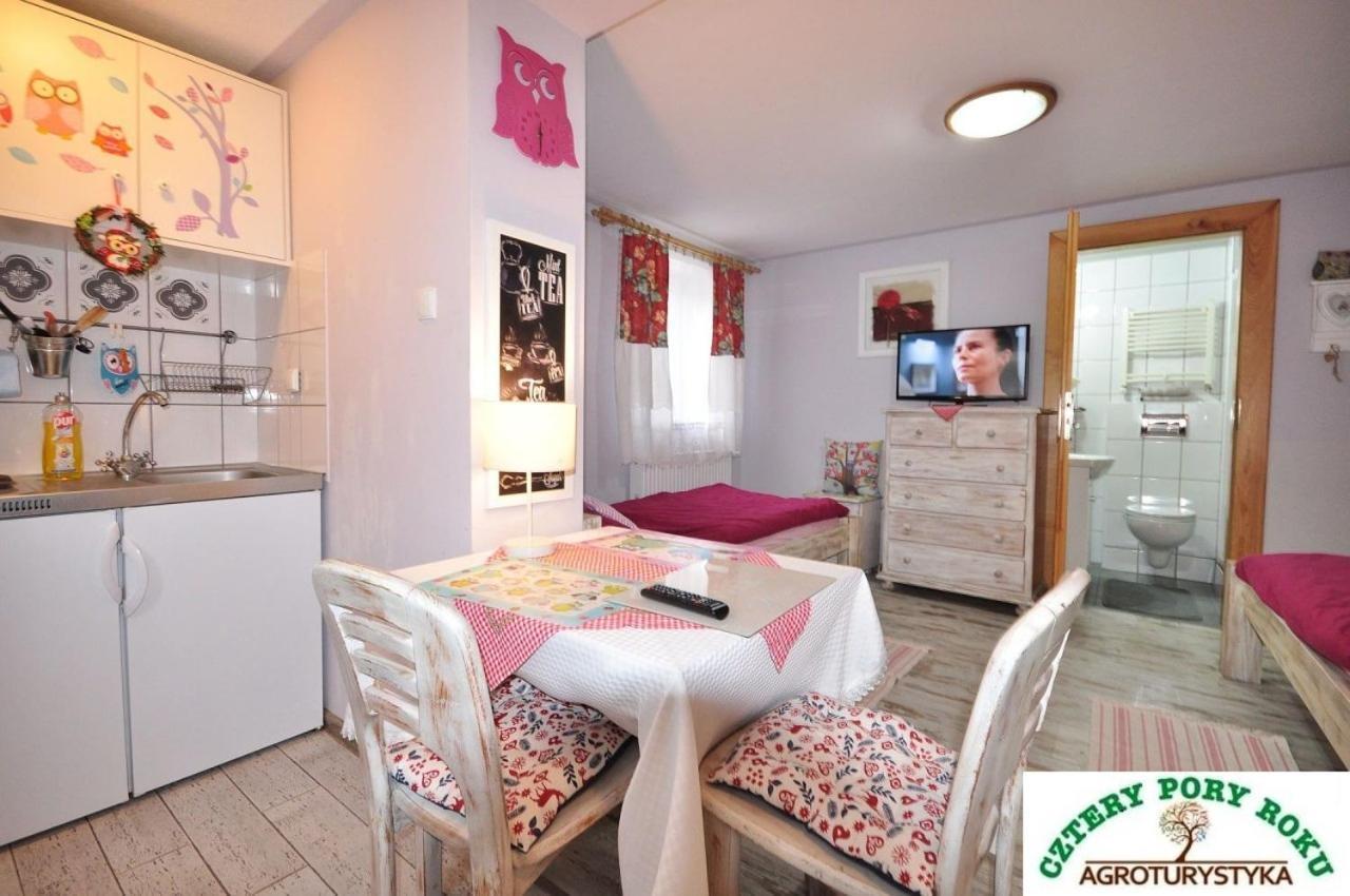 Cztery Pory Roku Apartment Jezow Sudecki Ngoại thất bức ảnh