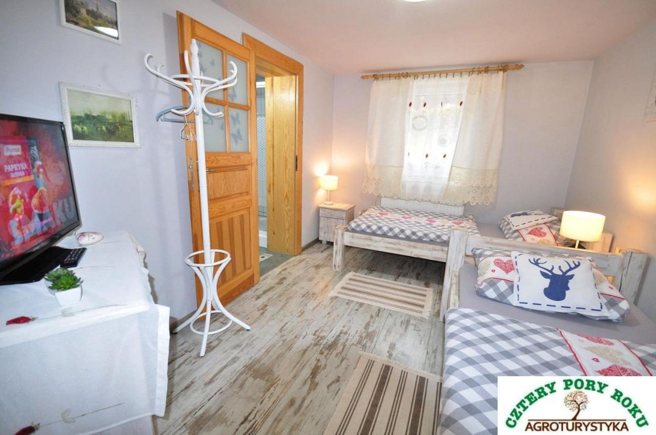 Cztery Pory Roku Apartment Jezow Sudecki Ngoại thất bức ảnh
